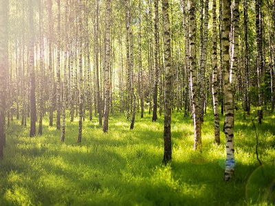 ULMA aderisce all'impegno di avanzare verso la neutralità climatica entro il 2050